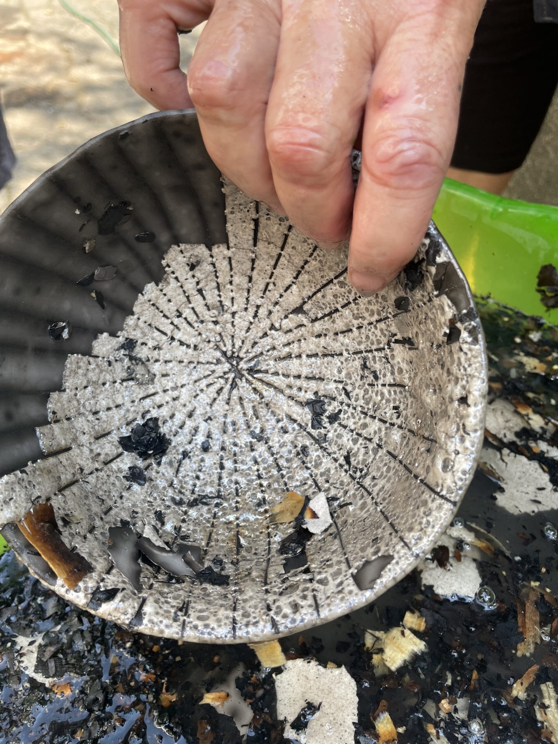 Workshop 6: Naked raku